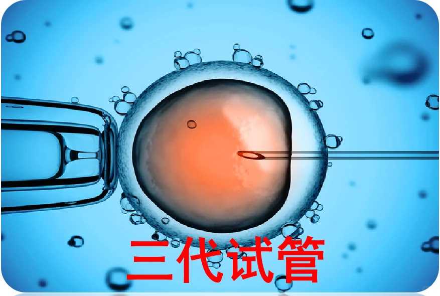 卵巢不好怎么调理做试管 卵巢不好怎么调理做试管成功率高