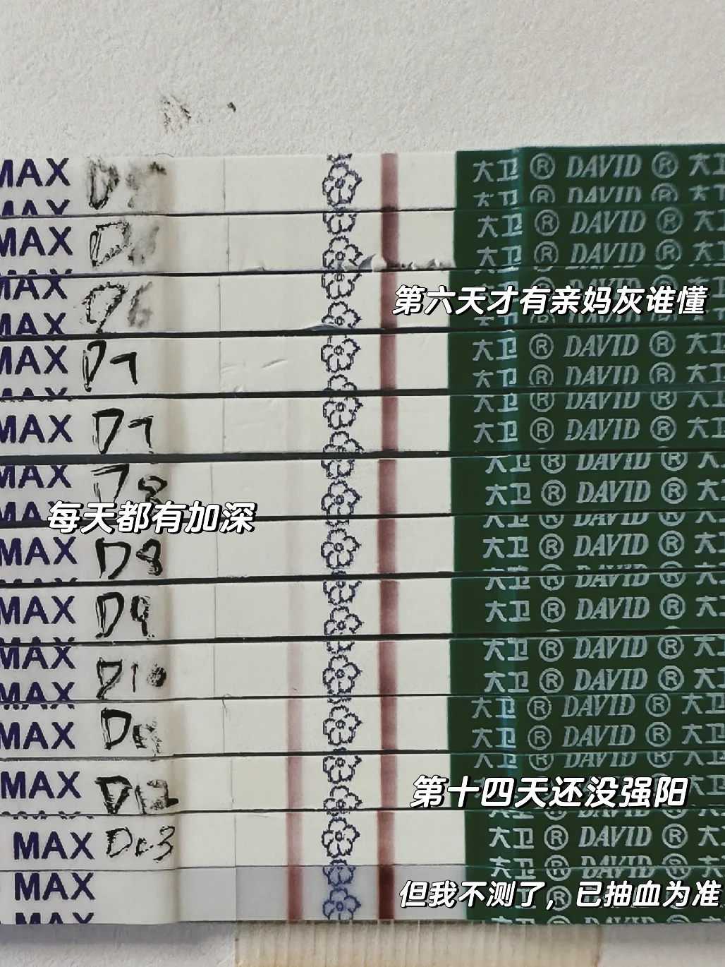 试管代孕包男孩,输卵管堵塞做试管婴儿的*率?试管婴儿会宫外孕吗?