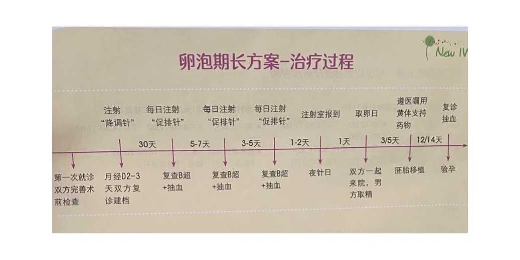 淮南供卵试管经历,开启代怀生子之路