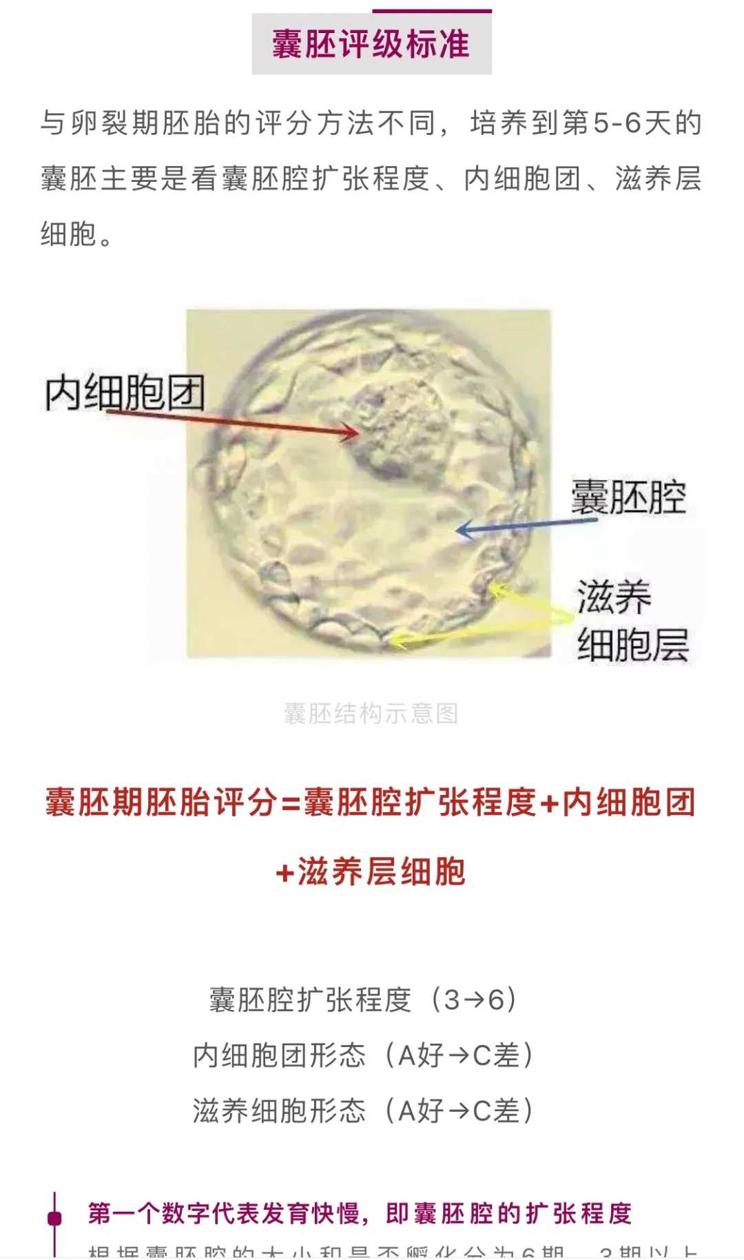 有可靠代生吗--开启完美家庭之路